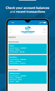 Caledonian Credit Union screenshot 4