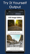 Learn CSS screenshot 5