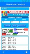 Elliott Wave Calculator screenshot 3