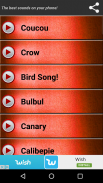 पक्षी रिंगटोन ध्वनियां screenshot 3