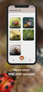 Insect ID- Bug identifier app screenshot 1