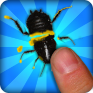 Bug Smasher(Pembunuh Serangga) screenshot 4