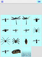 Insects Prank screenshot 0