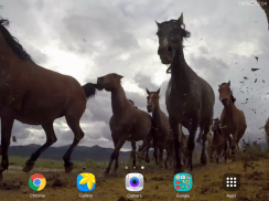 Kuda-kuda liar wallpaper hidup screenshot 8