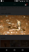 Snake Friend - सर्पमित्र screenshot 0