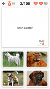 Dog Breeds - Quiz about all dogs of the world! screenshot 6