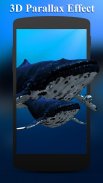 3D Sea Fish Live Wallpaper HD screenshot 2