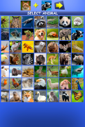 Mix Aminals. Animal morphing screenshot 20