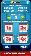 Bingo: New Free Cards Game Vegas and Casino Feel screenshot 3