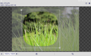 Image crop and scale - imaCrop screenshot 1