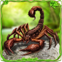 Furious Scorpion Family Simulator Icon