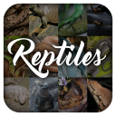 Reptile Animal Encyclopedia Icon