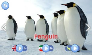 Animal Sounds for Kids screenshot 6