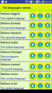 Learn Indonesian language screenshot 10