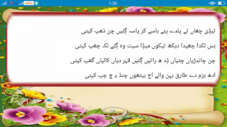 Saraiki Poetry screenshot 2