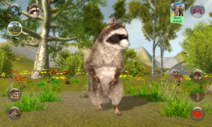 Talking Raccoon screenshot 4