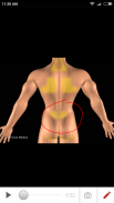 BACK AND SPINAL CORD - ATLAS screenshot 4