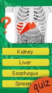 Kuis Pada Organ Tubuh Manusia screenshot 1