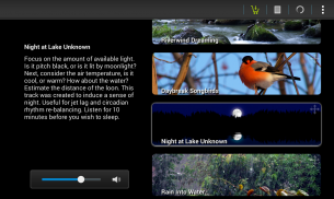 Naturespace: Sleep Relax Focus screenshot 3