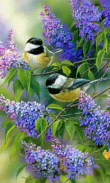 Animated Birds GIF screenshot 0