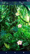 Jungle Live Wallpaper 🌴 Palm Forest Themes screenshot 6