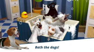 Dog Hotel - Play with dogs and manage the kennels screenshot 4