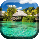 Paradise Island Live Wallpaper