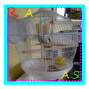 Design Bird Cage