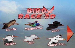 Bird Race 3D screenshot 3