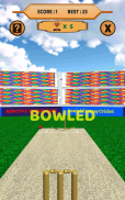 Bowled 3D - Cricket Game screenshot 10
