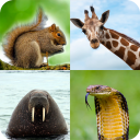 Animal Quiz: Adivinhe o animal Icon