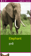 Learn English Wildlife and Body Parts Names screenshot 15