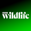 BBC Wildlife Magazine Icon