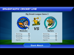 Smashtastic Cricket screenshot 9