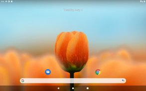 3D Tulip Live Wallpaper screenshot 4