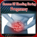 Causes Of Bleeding During Pregnancy Icon