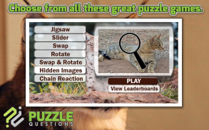 Free Wild Cats Puzzles screenshot 0