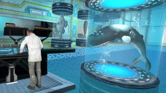 Whale Shark Attack Simulator screenshot 7