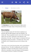 Cattle breeds screenshot 12
