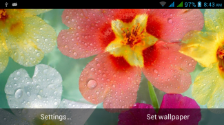 HD Nature Live Wallpapers screenshot 5
