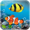 Aquarium Fish Live Wallpaper 2019: Koi Fish Free