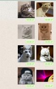 Cat Animated Stickers WAStickerApps screenshot 6