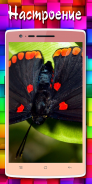 Обои бабочки screenshot 2