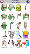 Visual Bones screenshot 2