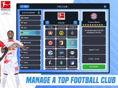 Soccer Manager 2023 - Football screenshot 8