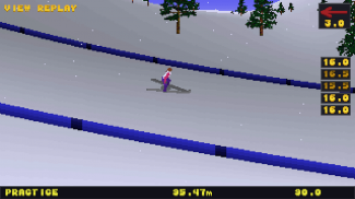 Deluxe Ski Jump 2 screenshot 1
