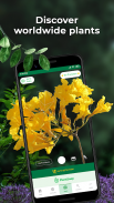 PlantSnap - Identificador de Plantas e Flores screenshot 1