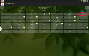 Календарь Moniusoft screenshot 13