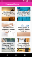 Pregnancy Calculator Calendar screenshot 1