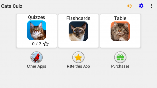 Katzen: Foto-Quiz über alle beliebten Katzenrassen screenshot 7